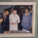 백호태권도체육관 이미지