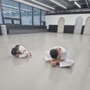 한국체대 제일 태권도장 이미지