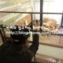 옷가게소이 이미지