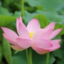 의왕초등학교 이미지