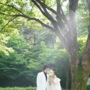 다니앤제이스튜디오 이미지
