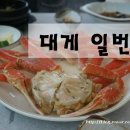 대게일번지횟집 이미지