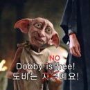 앤디코프오토플랜 | 튀르키예 터키 여행 경비 및 사전 예약 총정리 (항공 및 교통, 숙소, 투어, 여행자보험, 유심 등)