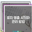 하루애드림치과의원 네이버블로그