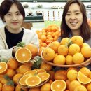 오렌지 이데일리