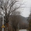서당골농원 이미지