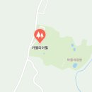아름다운꽃 | 제주 카멜리아힐 후기｜동백꽃과 수국이 아름다운 제주 대표 수목원