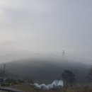 백월산농장 이미지