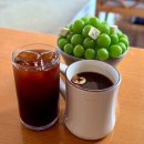 싱싱과일죽성점 | 기장가볼만한곳 죽성성당 카페 러츠커피 디저트 맛집