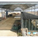 두리농장3 이미지