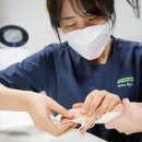상지 이미지