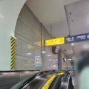 수성랜드 | [국내여행] [대구 수성구] 수성못, 수성랜드 후기