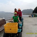 꽃섬투어 이미지