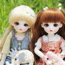 데이지 파티(Daisy Party) 이미지