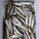 보성강8 이미지