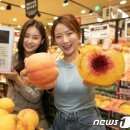 산지뚝심 이미지