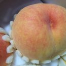 영광농장 이미지