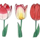 합성동293 이미지