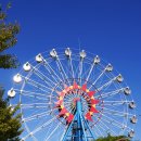 섬진강기차마을 후문 한옥 | 곡성 여행 섬진강 기차 마을, 드림랜드, 장미공원, 플로라정원, 세계테마정원, 유리 온실, 핑크뮬리...