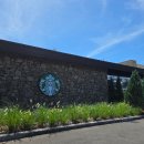 토평사거리 | 제주 스타벅스 한정메뉴 쑥떡말차프라프치노 제주서귀포토평 DT점