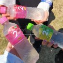 새쟁이공원 | 나 펜타포트랑 영원을 약속했죠...2026 펜타포트 3일차 후기 리도어 위주