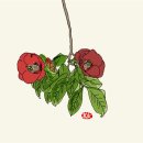 여전히 제주 이미지