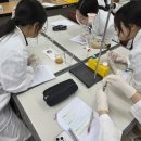 STS 광교신문