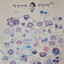 박경리 메밀향 이미지