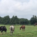 CU한림점 이미지