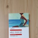 서정애드