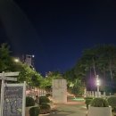 7017 | 서울 야경 명소 추천 접근성 좋은 서울로7017 후기