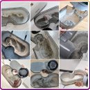 pet54라3873 | 🌟 99.9% 살균력의 아이 침대, 이불 필수품 UV 침구청소기! 숨어있던 진드기와의 완벽한 이별 💁‍♂️