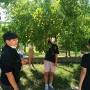 인천장서초등학교 이미지