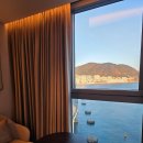 오션그랜드호텔 | 부산 윈덤그랜드 호텔 오션뷰 객실 후기