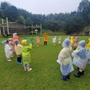 남산초병설유치원 이미지