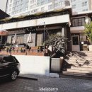 더메리어 이미지
