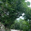 유한회사 비행장주유소 | [경주 여행 Ⅲ] 04# 돌고 돌아 돌아올 곳은 결국 경주: 석굴암, 이견대, 물천 한우 [完]