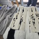 권박사크리닝 이미지