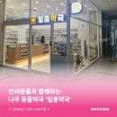 일층약국 이미지