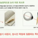 디오티카 이미지