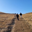 이룸행정사사무소 이미지