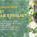 이리온 이미지