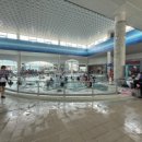 타이거 유치부 태권도 전용관 이미지