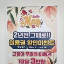 3년간 고양이 무마취미용 전문가에게 맡겨본 후기 - 야옹아놀자 인천 연수점