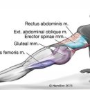 Personal Training GYM 이미지