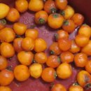 추성산장 이미지