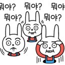 가람애견미용샵 이미지