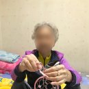 늘봄원예 이미지