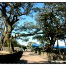 성읍리-3 이미지