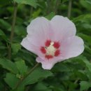 무극전적 국민관광지 이미지